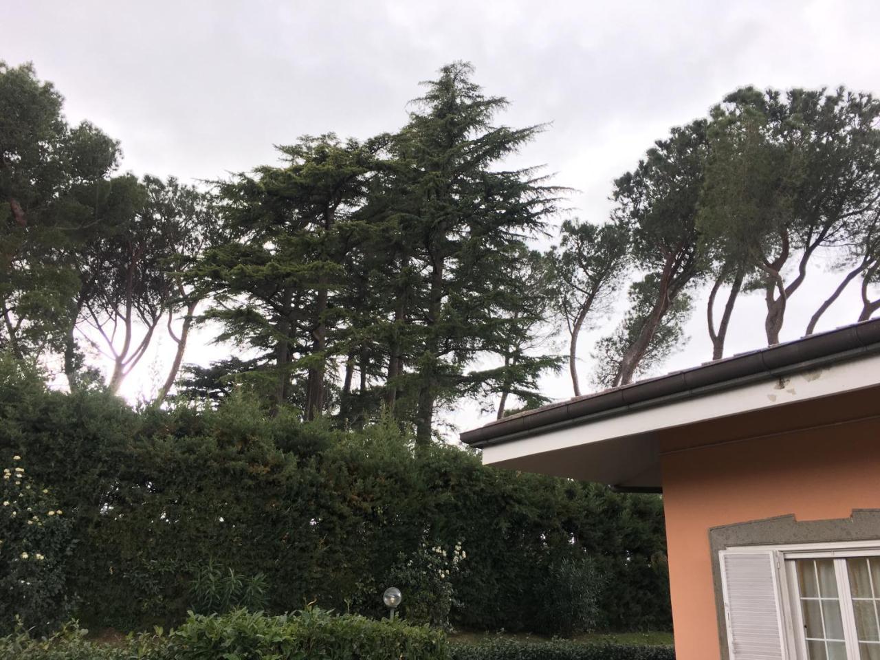 维拉吉奥住宿加早餐旅馆 弗拉斯卡蒂 外观 照片